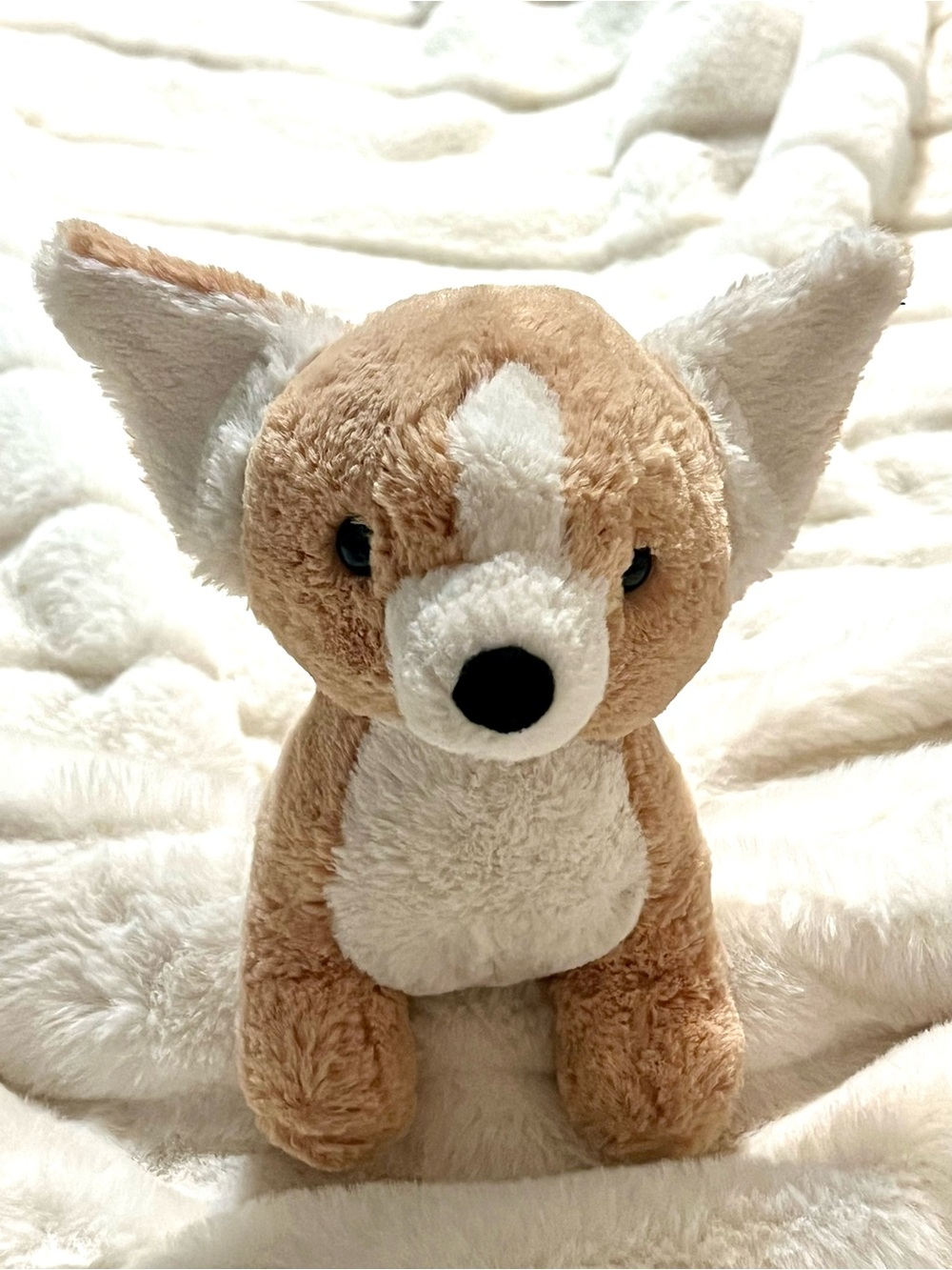 Jellycat Isobel Chihuahua Puppy Dog Plush Stuffed Animal Toy VGUC Soft Isabell